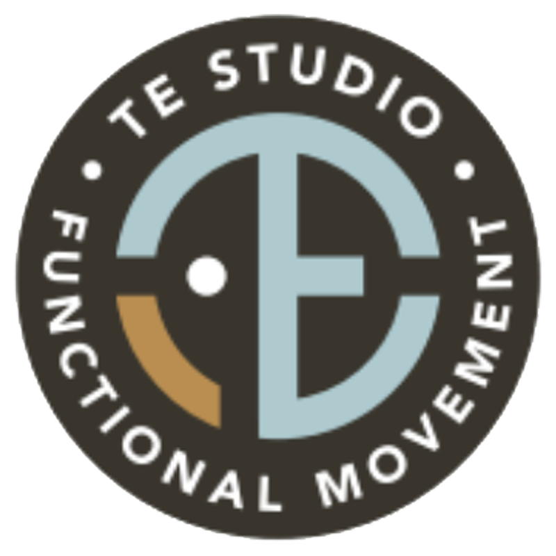 TE-Studio-Logo